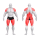 Независимая становая тяга с двойными рукоятями PURE CRAFT DUAL GYM80