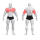 Независимый жим от груди лежа PURE CRAFT STRONG GYM80