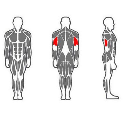 Трицепс-машина InterAtletika X-Line