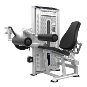 Сгибание ног сидя DHZ U2023