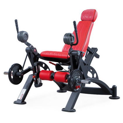 Разгибатель бедра Panatta HP