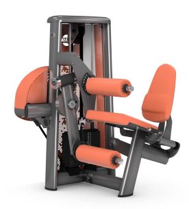 Сгибание/разгибание ног GYM80 SYGNUM Innovation