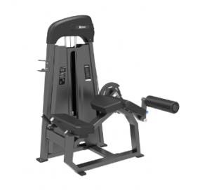 Сгибание ног лежа DHZ Evost Light