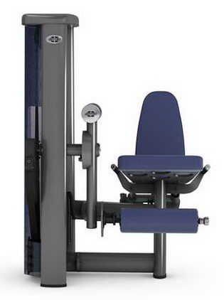 Разгибание ног сидя GYM80 SYGNUM Standards