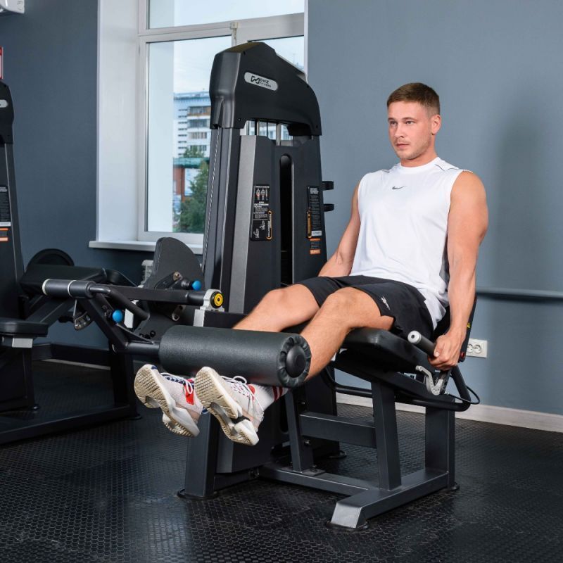 Разгибание ног DHZ Evost I