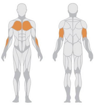 Трицепс машина (отжимания на брусьях) Panatta HP