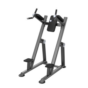 Пресс / брусья DHZ Evost I