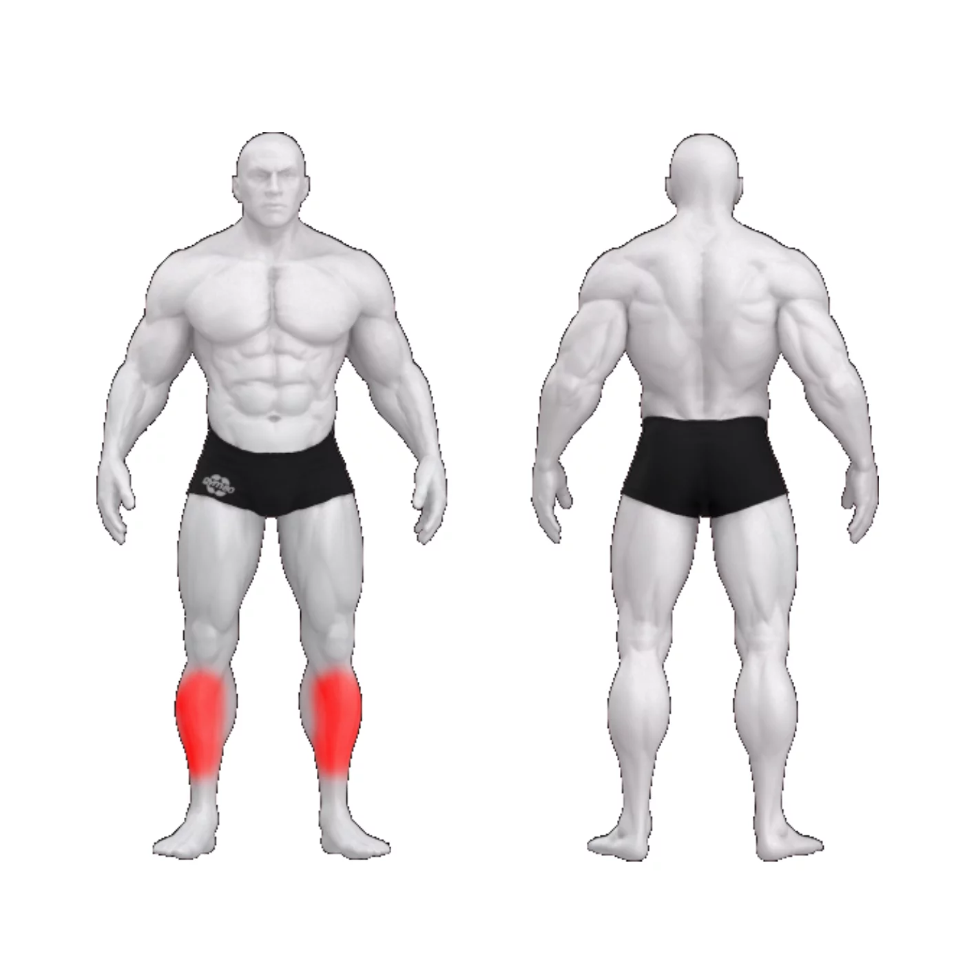 Сгибание стопы PURE CRAFT GYM80