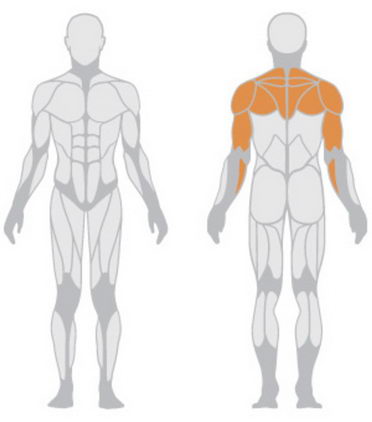 Задние дельты Panatta HP