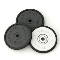 Бамперный диск Panatta, 5 кг, черный