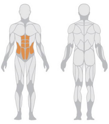 Тренажер для мышц брюшного пресса Panatta HP