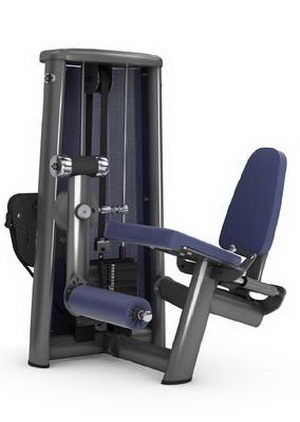 Разгибание ног сидя GYM80 SYGNUM Standards
