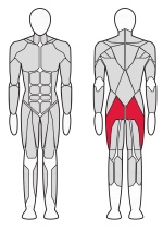 Тренажер для ягодичных мышц InterAtletika Verti 