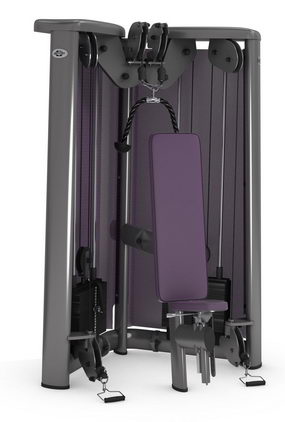Жим от плеч, скручивание GYM80 SYGNUM Cable Art  