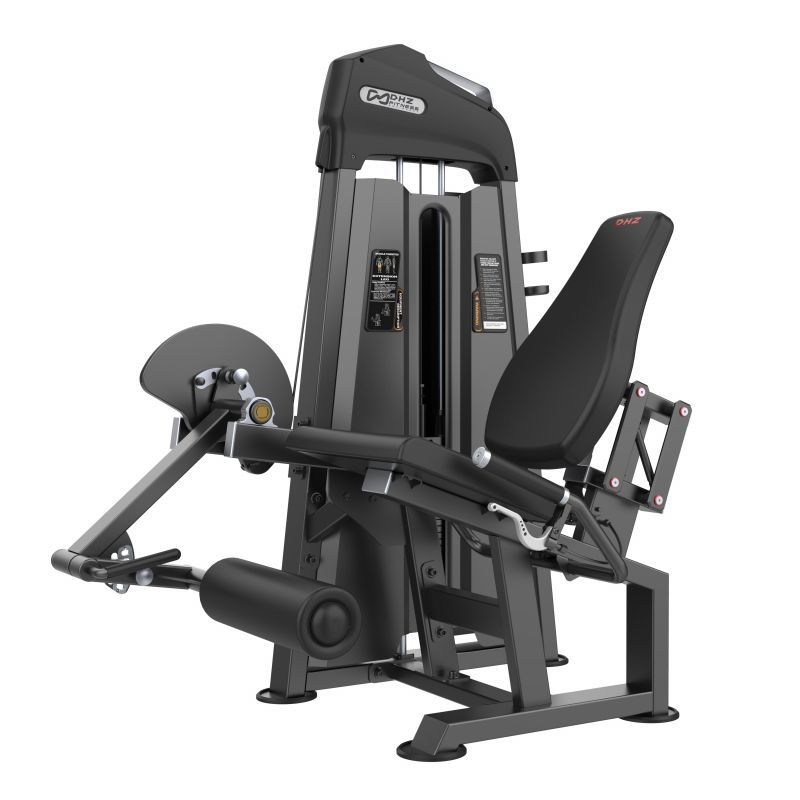 Разгибание ног DHZ Evost I