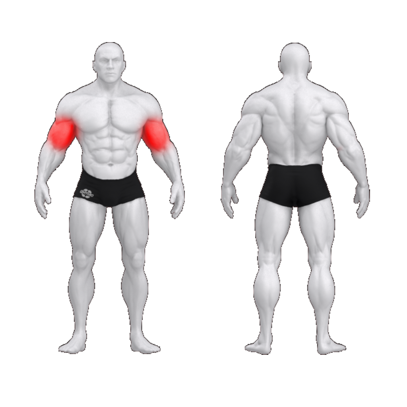 Независимое сгибание предплечий PURE CRAFT DUAL GYM80