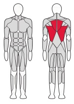 Рычажная тяга InterAtletika Verti 