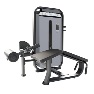 Сгибание ног лежа DHZ Fusion Core