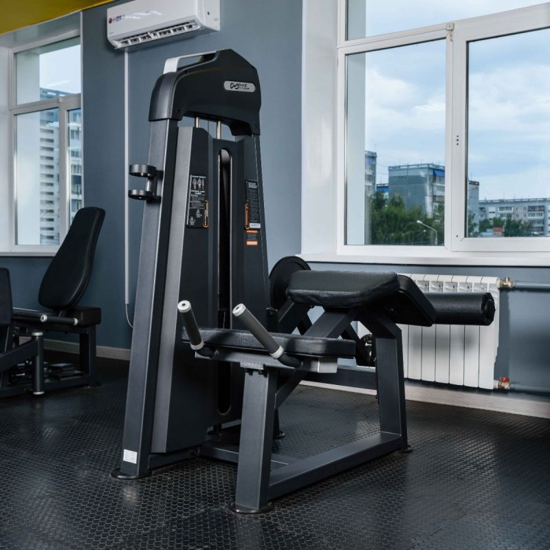 Сгибание ног лежа DHZ Evost I