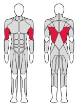 Тяга вниз InterAtletika Verti 