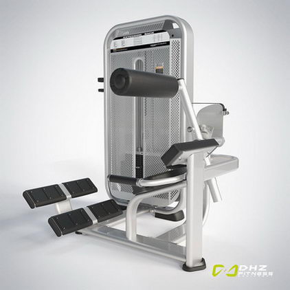 Разгибание спины DHZ Fusion Pro