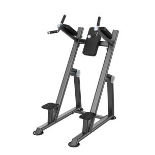 Брусья-пресс DHZ U2047