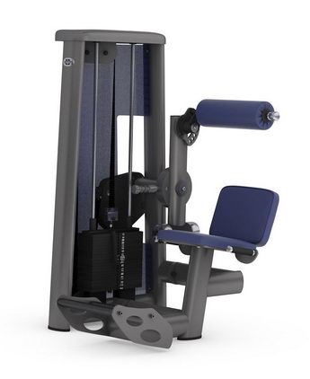 Разгибание спины (нижняя часть) GYM80 SYGNUM Standards 