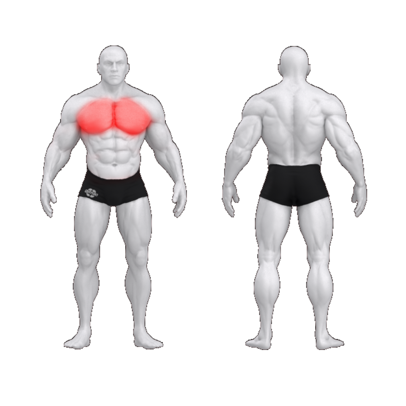 Независимое сведение рук PURE CRAFT DUAL GYM80