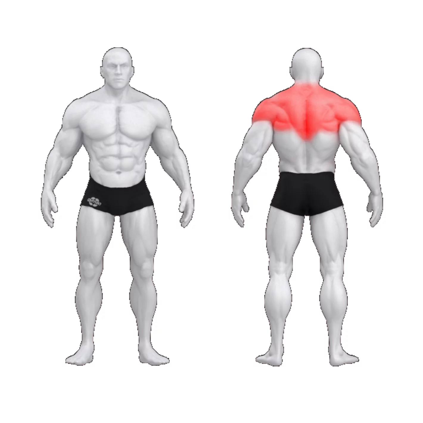 Независимое горизонтальное отведение плеча PURE CRAFT DUAL GYM80