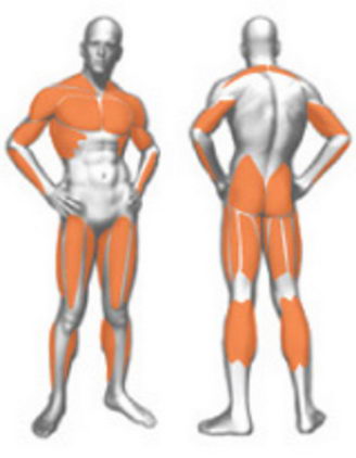 4-сторонняя многофункциональная станция + кроссовер Panatta FIT EVO