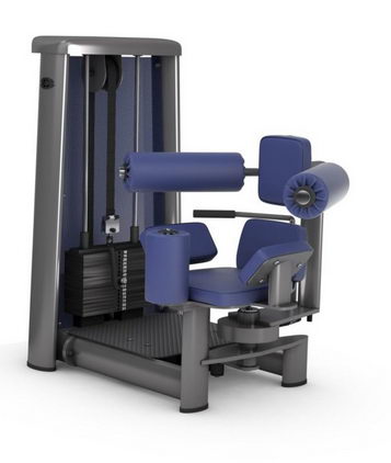 Торс-машина (скручивание) GYM80 SYGNUM Standards  