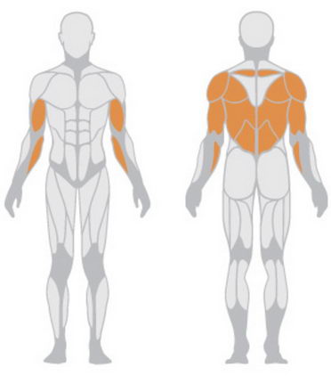 Т-образная тяга с упором на ноги Panatta HP