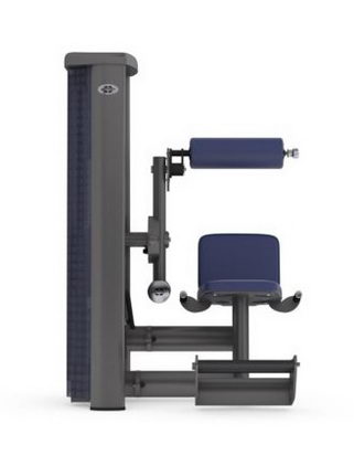 Разгибание спины (нижняя часть) GYM80 SYGNUM Standards 
