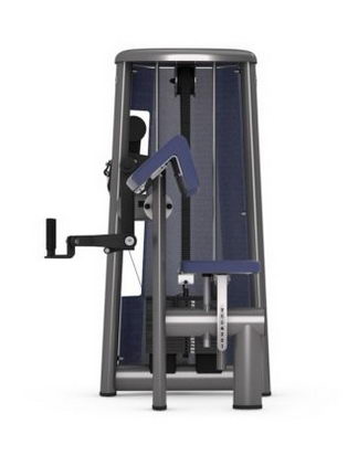 Бицепс-машина GYM80 SYGNUM Standards 