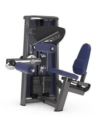 Сгибание ног сидя GYM80 SYGNUM Standards