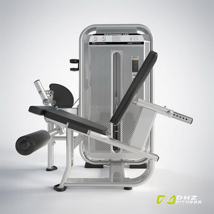 Разгибание ног DHZ Fusion Pro