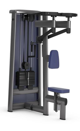 Отведение рук назад (задние дельты) GYM80 SYGNUM Standards 
