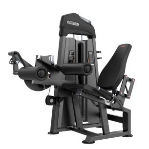 Сгибание ног сидя DHZ Evost I