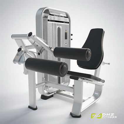 Сгибание ног сидя DHZ Fusion