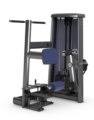 Задняя поверхность бедра стоя GYM80 SYGNUM Standards 