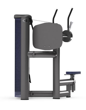 Грудные мышцы (имитация кроссовера) GYM80 SYGNUM Standards 