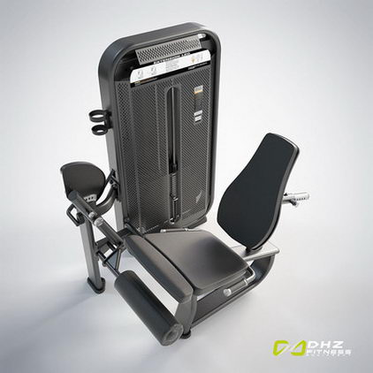 Разгибание ног DHZ Fusion Pro