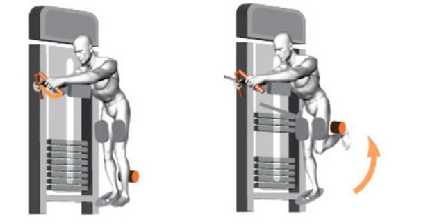 Сгибание бедра стоя Panatta XP LUX