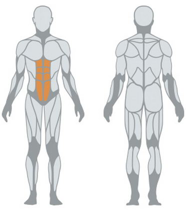 Торс-машина Panatta FIT EVO