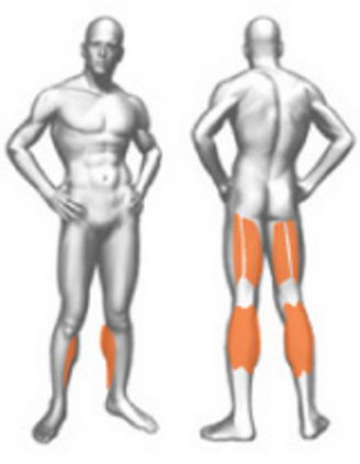 Сгибание бедра стоя Panatta XP LUX