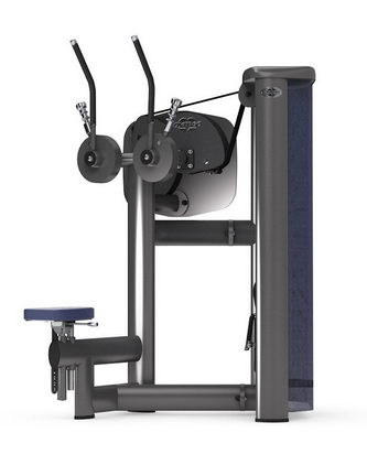 Грудные мышцы (имитация кроссовера) GYM80 SYGNUM Standards 