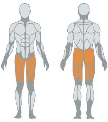 Сисси присед Panatta FIT EVO