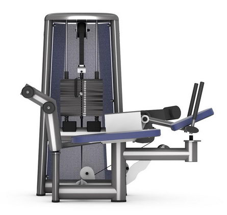 Пресс машина (подтягивание ног) GYM80 SYGNUM Standards 