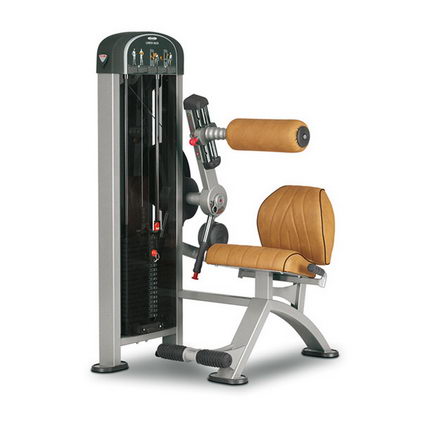 Разгибание спины Panatta XP LUX