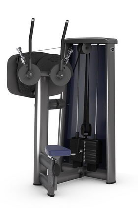 Грудные мышцы (имитация кроссовера) GYM80 SYGNUM Standards 